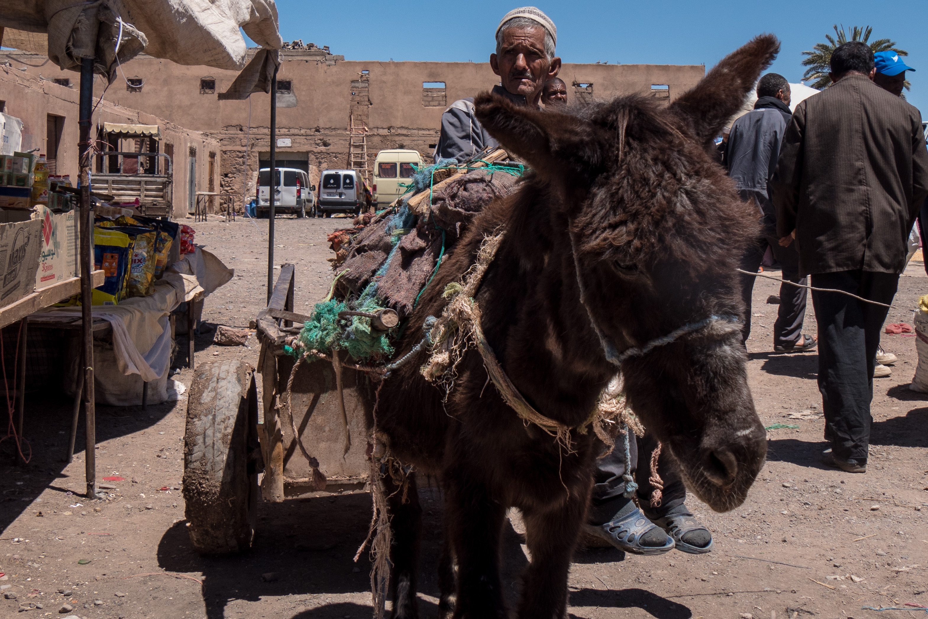 Markt in Skoura